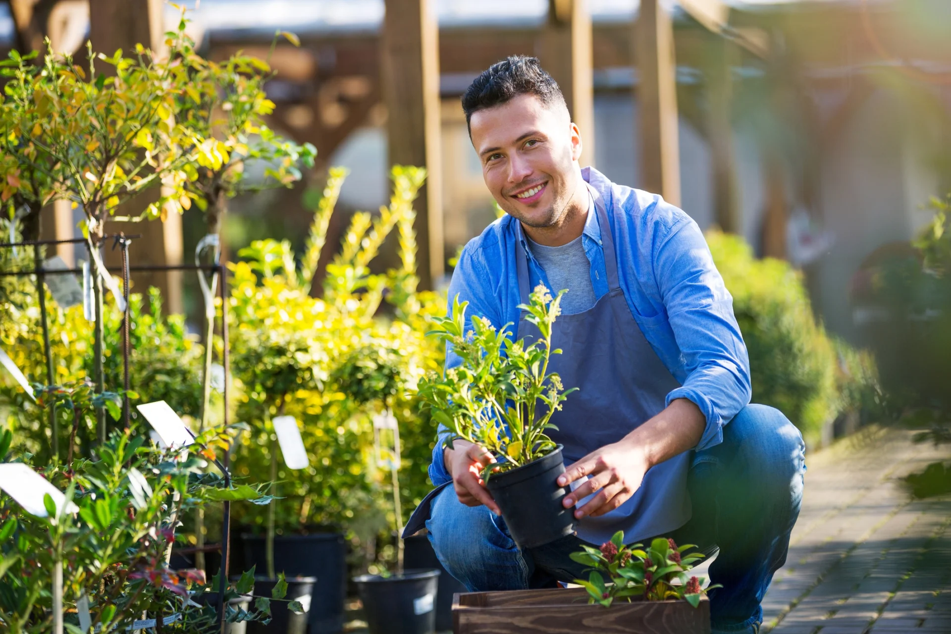 Man gardening with potted plants, smiling outdoors.